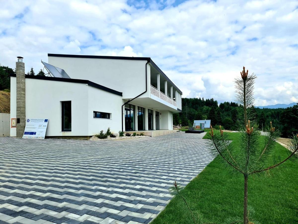 Pensiunea Ddc Colibiţa エクステリア 写真
